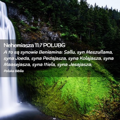 Picture 02 - Nehemiasza 11:7 POLUBG - A to są synowie Beniamina: Sallu, syn - Bible Verse Picture