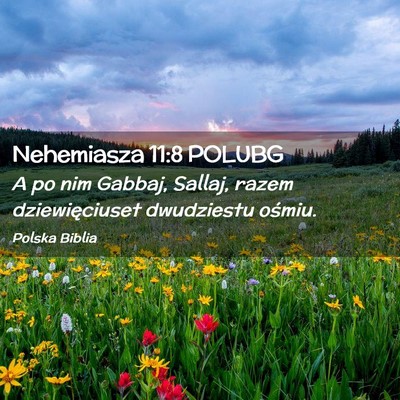 Picture 02 - Nehemiasza 11:8 POLUBG - A po nim Gabbaj, Sallaj, razem dziewięciuset - Bible Verse Picture