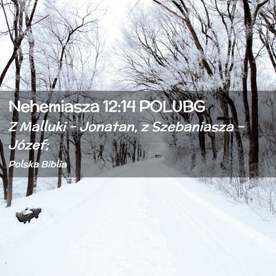 Picture 02 - Nehemiasza 12:14 POLUBG - Z Malluki – Jonatan, z Szebaniasza – - Bible Verse Picture