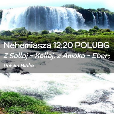 Picture 02 - Nehemiasza 12:20 POLUBG - Z Sallaj – Kallaj, z Amoka – - Bible Verse Picture