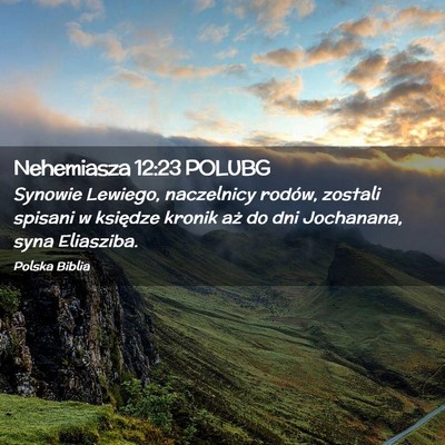 Picture 02 - Nehemiasza 12:23 POLUBG - Synowie Lewiego, naczelnicy rodów, zostali - Bible Verse Picture