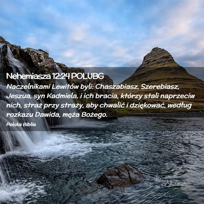Picture 02 - Nehemiasza 12:24 POLUBG - Naczelnikami Lewitów byli: Chaszabiasz, - Bible Verse Picture