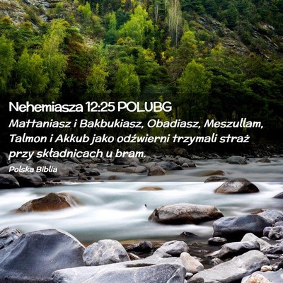 Picture 02 - Nehemiasza 12:25 POLUBG - Mattaniasz i Bakbukiasz, Obadiasz, Meszullam, - Bible Verse Picture