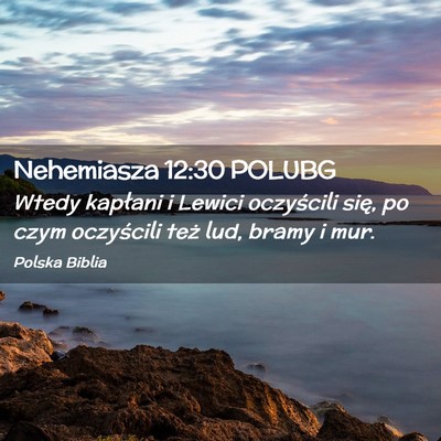 Picture 02 - Nehemiasza 12:30 POLUBG - Wtedy kapłani i Lewici oczyścili się, po czym - Bible Verse Picture