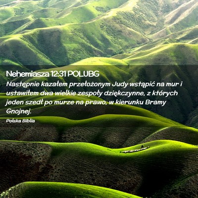 Picture 02 - Nehemiasza 12:31 POLUBG - Następnie kazałem przełożonym Judy wstąpić - Bible Verse Picture