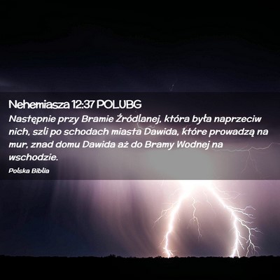 Picture 02 - Nehemiasza 12:37 POLUBG - Następnie przy Bramie Źródlanej, która była - Bible Verse Picture