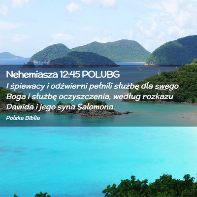 Picture 02 - Nehemiasza 12:45 POLUBG - I śpiewacy i odźwierni pełnili służbę dla - Bible Verse Picture