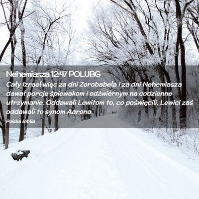 Picture 02 - Nehemiasza 12:47 POLUBG - Cały Izrael więc za dni Zorobabela i za dni - Bible Verse Picture