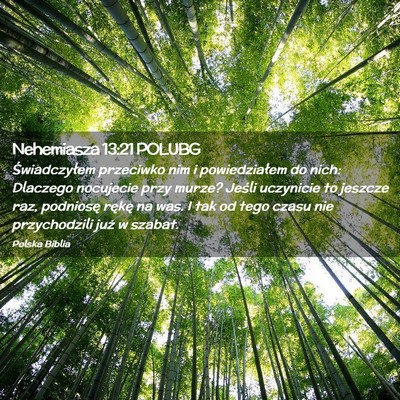 Picture 02 - Nehemiasza 13:21 POLUBG - Świadczyłem przeciwko nim i powiedziałem do - Bible Verse Picture