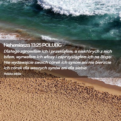 Picture 02 - Nehemiasza 13:25 POLUBG - Dlatego zgromiłem ich i przekląłem, a - Bible Verse Picture