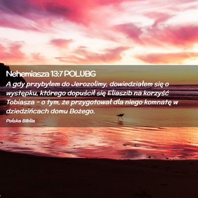 Picture 02 - Nehemiasza 13:7 POLUBG - A gdy przybyłem do Jerozolimy, dowiedziałem - Bible Verse Picture