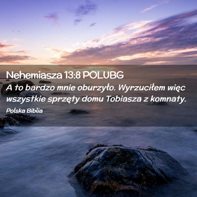 Picture 02 - Nehemiasza 13:8 POLUBG - A to bardzo mnie oburzyło. Wyrzuciłem więc - Bible Verse Picture