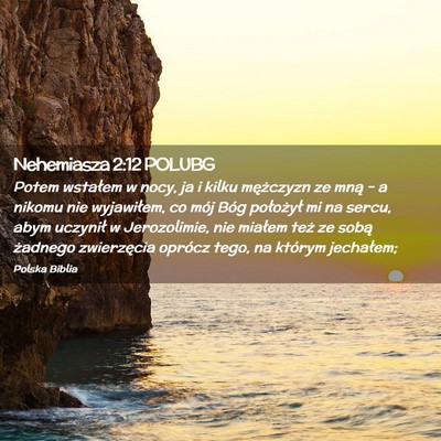 Picture 02 - Nehemiasza 2:12 POLUBG - Potem wstałem w nocy, ja i kilku mężczyzn ze - Bible Verse Picture