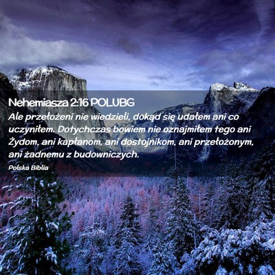 Picture 02 - Nehemiasza 2:16 POLUBG - Ale przełożeni nie wiedzieli, dokąd się - Bible Verse Picture