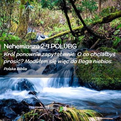 Picture 02 - Nehemiasza 2:4 POLUBG - Król ponownie zapytał mnie: O co chciałbyś - Bible Verse Picture
