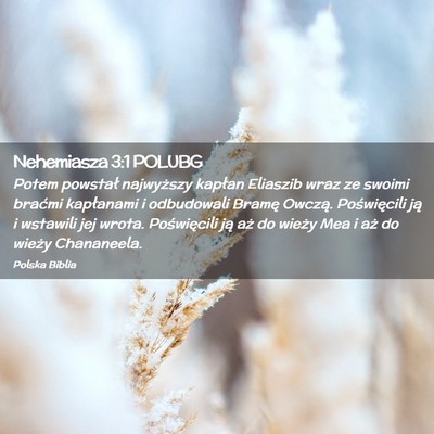 Picture 02 - Nehemiasza 3:1 POLUBG - Potem powstał najwyższy kapłan Eliaszib wraz - Bible Verse Picture
