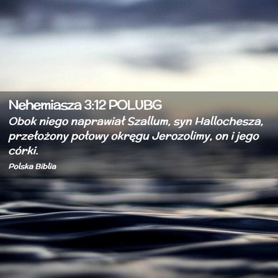 Picture 02 - Nehemiasza 3:12 POLUBG - Obok niego naprawiał Szallum, syn Hallochesza, - Bible Verse Picture