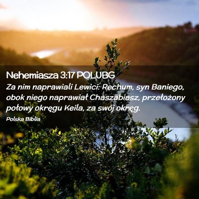 Picture 02 - Nehemiasza 3:17 POLUBG - Za nim naprawiali Lewici: Rechum, syn Baniego, - Bible Verse Picture