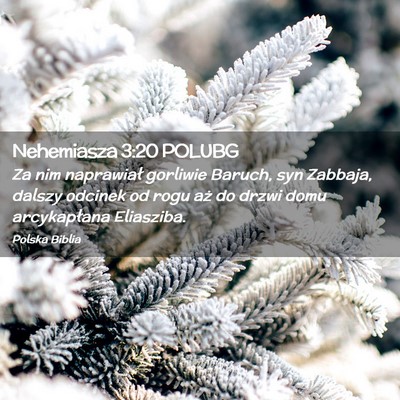 Picture 02 - Nehemiasza 3:20 POLUBG - Za nim naprawiał gorliwie Baruch, syn Zabbaja, - Bible Verse Picture