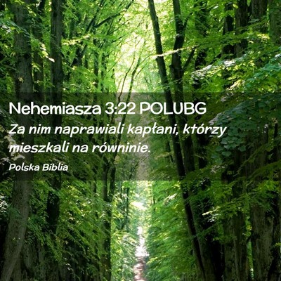 Picture 02 - Nehemiasza 3:22 POLUBG - Za nim naprawiali kapłani, którzy mieszkali na - Bible Verse Picture