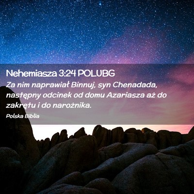 Picture 02 - Nehemiasza 3:24 POLUBG - Za nim naprawiał Binnuj, syn Chenadada, - Bible Verse Picture