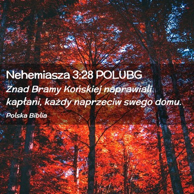 Picture 02 - Nehemiasza 3:28 POLUBG - Znad Bramy Końskiej naprawiali kapłani, każdy - Bible Verse Picture
