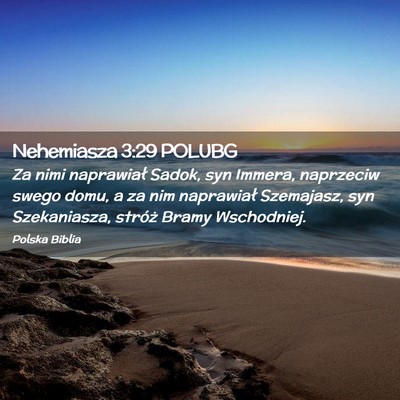 Picture 02 - Nehemiasza 3:29 POLUBG - Za nimi naprawiał Sadok, syn Immera, naprzeciw - Bible Verse Picture