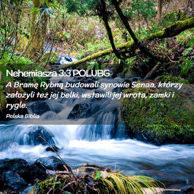 Picture 02 - Nehemiasza 3:3 POLUBG - A Bramę Rybną budowali synowie Senaa, którzy - Bible Verse Picture