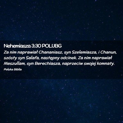 Picture 02 - Nehemiasza 3:30 POLUBG - Za nim naprawiał Chananiasz, syn Szelemiasza, i - Bible Verse Picture
