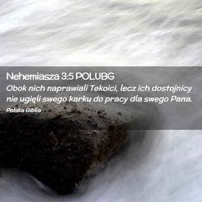 Picture 02 - Nehemiasza 3:5 POLUBG - Obok nich naprawiali Tekoici, lecz ich dostojnicy - Bible Verse Picture
