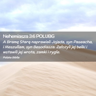 Picture 02 - Nehemiasza 3:6 POLUBG - A Bramę Starą naprawiali Jojada, syn Paseacha, - Bible Verse Picture