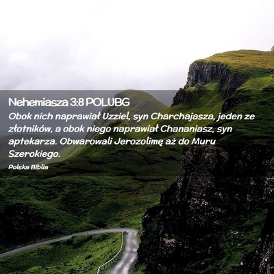 Picture 02 - Nehemiasza 3:8 POLUBG - Obok nich naprawiał Uzziel, syn Charchajasza, - Bible Verse Picture