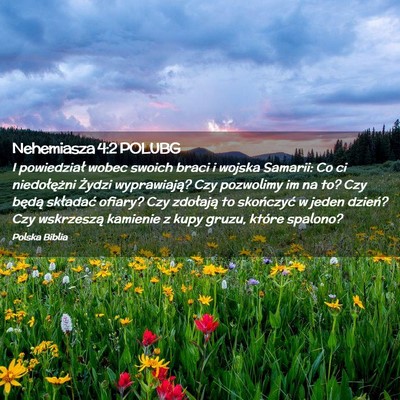 Picture 02 - Nehemiasza 4:2 POLUBG - I powiedział wobec swoich braci i wojska - Bible Verse Picture