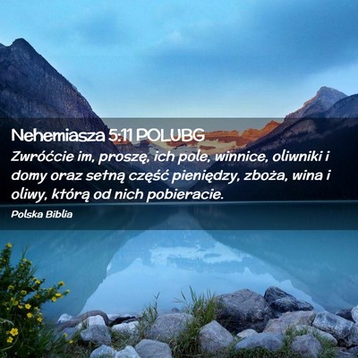 Picture 02 - Nehemiasza 5:11 POLUBG - Zwróćcie im, proszę, ich pole, winnice, - Bible Verse Picture
