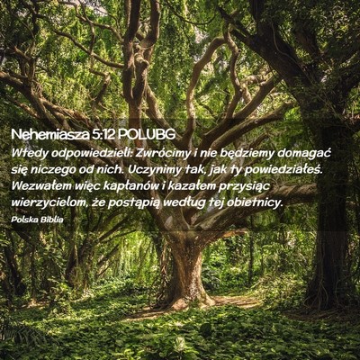 Picture 02 - Nehemiasza 5:12 POLUBG - Wtedy odpowiedzieli: Zwrócimy i nie będziemy - Bible Verse Picture