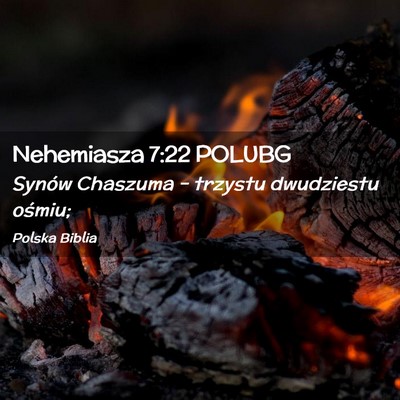 Picture 02 - Nehemiasza 7:22 POLUBG - Synów Chaszuma – trzystu dwudziestu - Bible Verse Picture