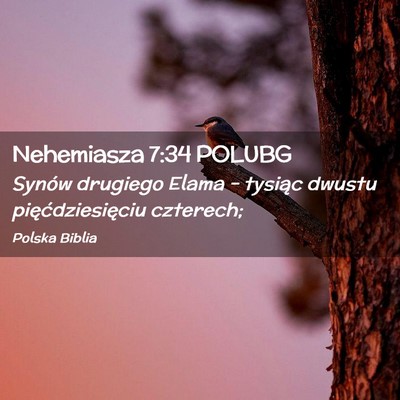 Picture 02 - Nehemiasza 7:34 POLUBG - Synów drugiego Elama – tysiąc dwustu - Bible Verse Picture