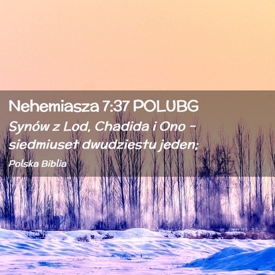Picture 02 - Nehemiasza 7:37 POLUBG - Synów z Lod, Chadida i Ono – siedmiuset - Bible Verse Picture