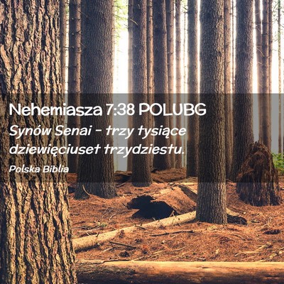 Picture 02 - Nehemiasza 7:38 POLUBG - Synów Senai – trzy tysiące dziewięciuset - Bible Verse Picture