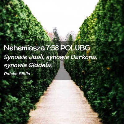 Picture 02 - Nehemiasza 7:58 POLUBG - Synowie Jaali, synowie Darkona, synowie - Bible Verse Picture