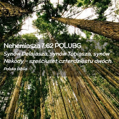 Picture 02 - Nehemiasza 7:62 POLUBG - Synów Delajasza, synów Tobiasza, synów Nekody - Bible Verse Picture