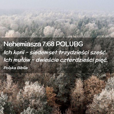 Picture 02 - Nehemiasza 7:68 POLUBG - Ich koni – siedemset trzydzieści sześć. Ich - Bible Verse Picture