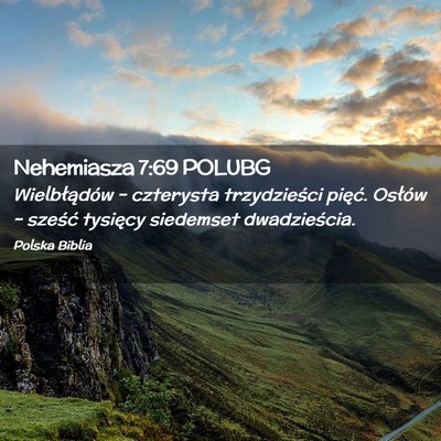 Picture 02 - Nehemiasza 7:69 POLUBG - Wielbłądów – czterysta trzydzieści pięć. - Bible Verse Picture