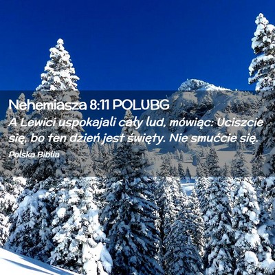 Picture 02 - Nehemiasza 8:11 POLUBG - A Lewici uspokajali cały lud, mówiąc: Uciszcie - Bible Verse Picture