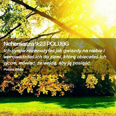 Picture 02 - Nehemiasza 9:23 POLUBG - Ich synów rozmnożyłeś jak gwiazdy na niebie i - Bible Verse Picture