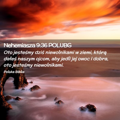 Picture 02 - Nehemiasza 9:36 POLUBG - Oto jesteśmy dziś niewolnikami w ziemi, którą - Bible Verse Picture