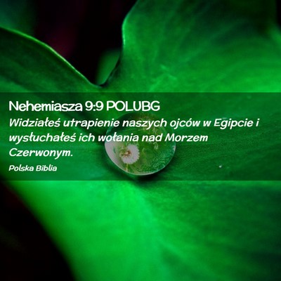 Picture 02 - Nehemiasza 9:9 POLUBG - Widziałeś utrapienie naszych ojców w Egipcie i - Bible Verse Picture
