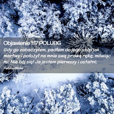 Picture 02 - Objawienie 1:17 POLUBG - Gdy go zobaczyłem, padłem do jego stóp jak - Bible Verse Picture