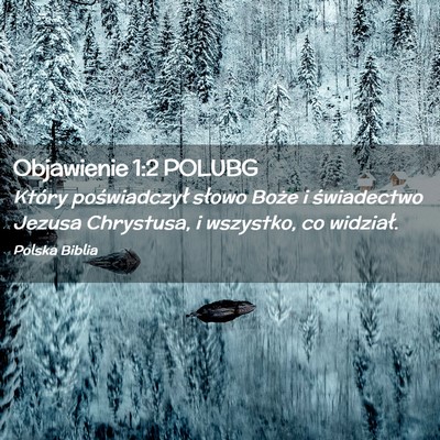 Picture 02 - Objawienie 1:2 POLUBG - Który poświadczył słowo Boże i świadectwo - Bible Verse Picture