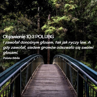 Picture 02 - Objawienie 10:3 POLUBG - I zawołał donośnym głosem, tak jak ryczy lew. - Bible Verse Picture
